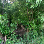 Desrameaux, Plateau, Saint Lucia