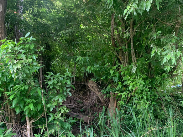 Desrameaux, Plateau, Saint Lucia