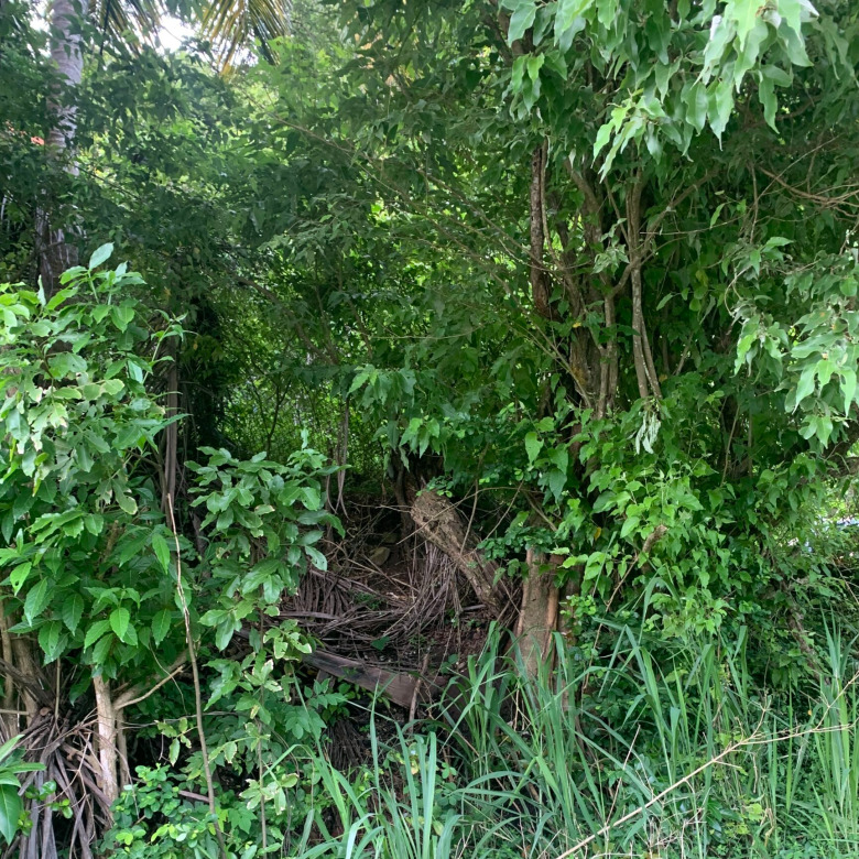 10,000 sq. ft. Lot for sale in Desrameaux