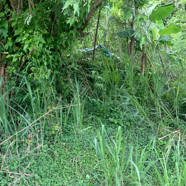 10,000 sq. ft. Lot for sale in Desrameaux