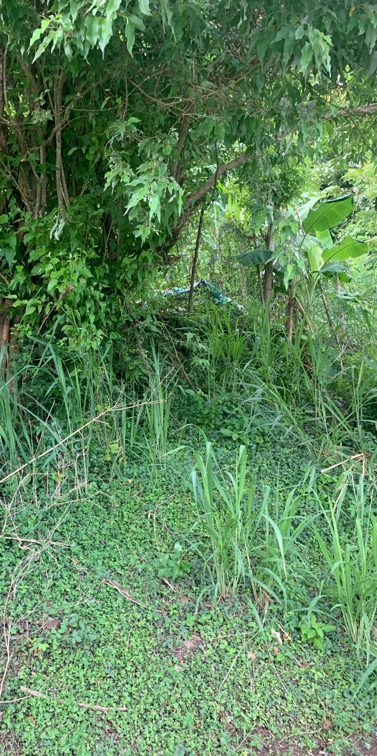 10,000 sq. ft. Lot for sale in Desrameaux