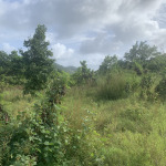 Land For Sale In Monchy 12000 SF