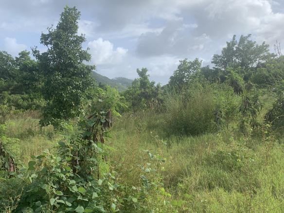 Land For Sale In Monchy 12000 SF
