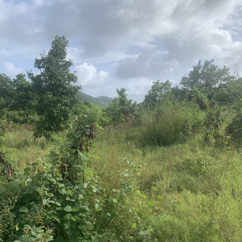 Land For Sale In Monchy 12000 SF