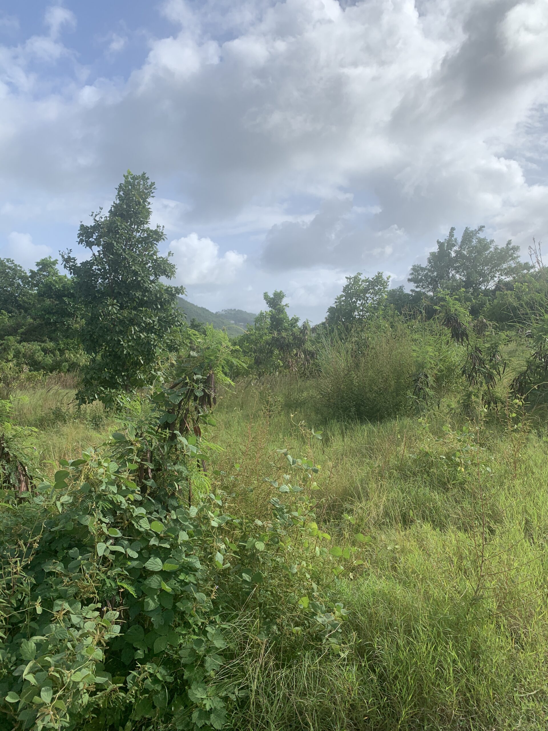 Land For Sale In Monchy 12000 SF
