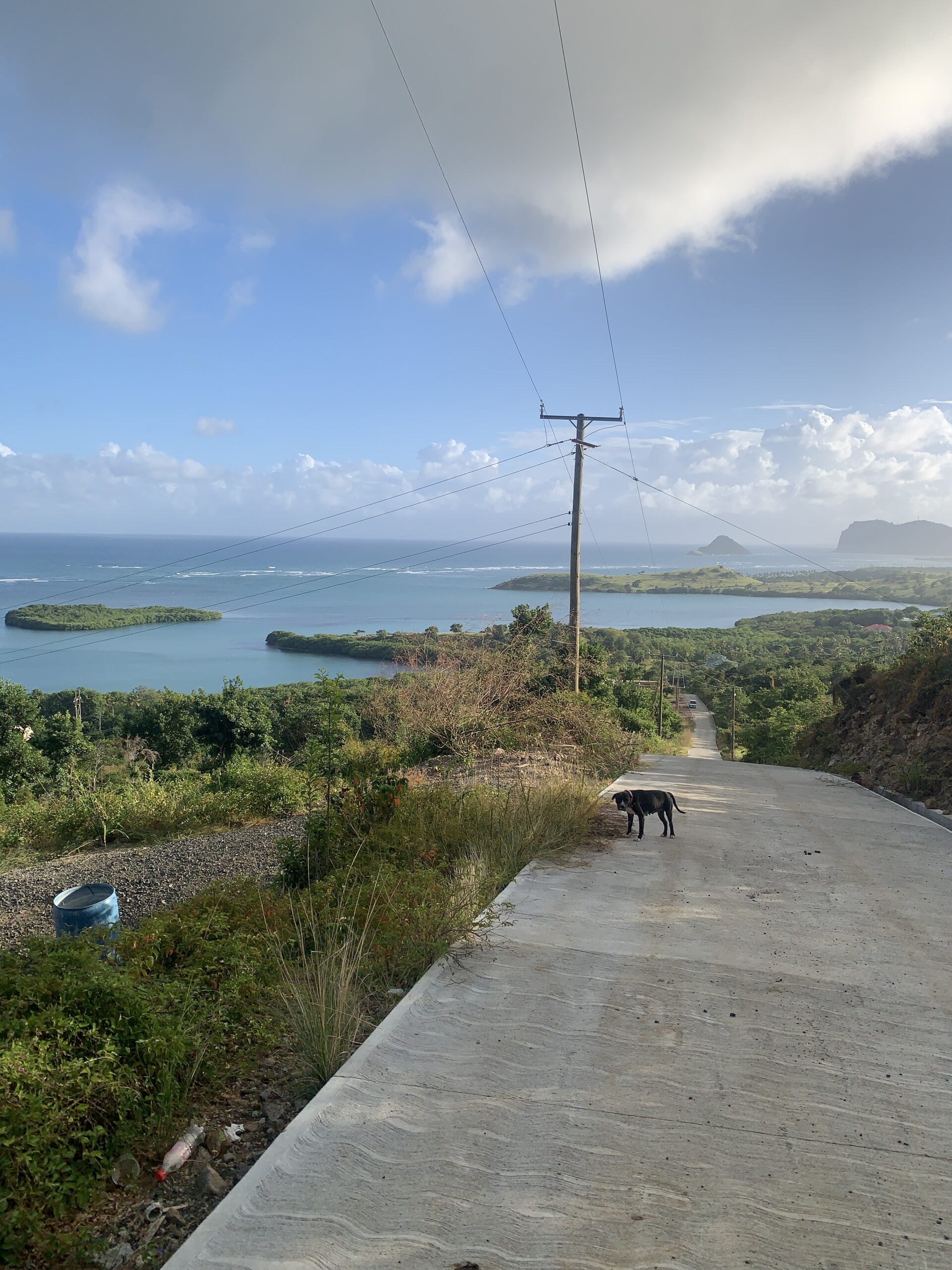 Land For Sale In Savannes Heights