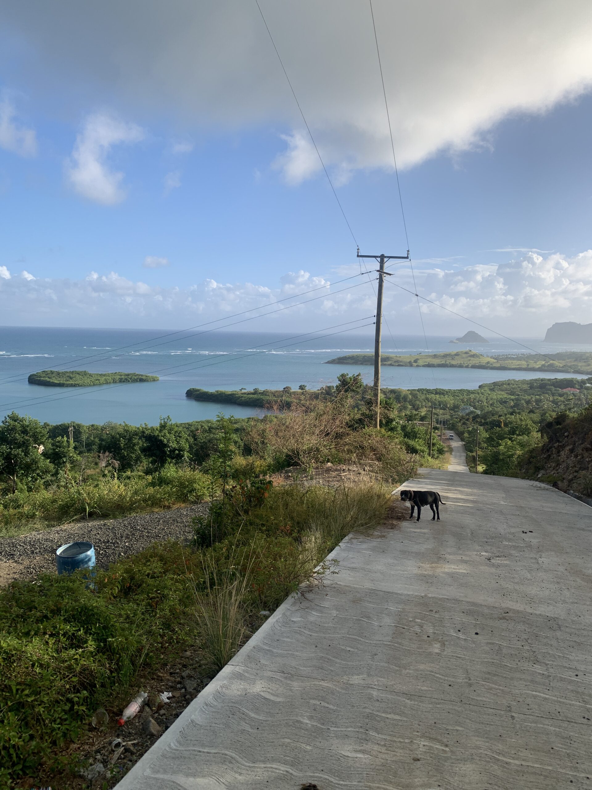 Land For Sale In Savannes Heights