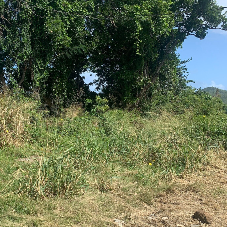 St lucia real estate Land For Sale In Bonneterre 14401 SF