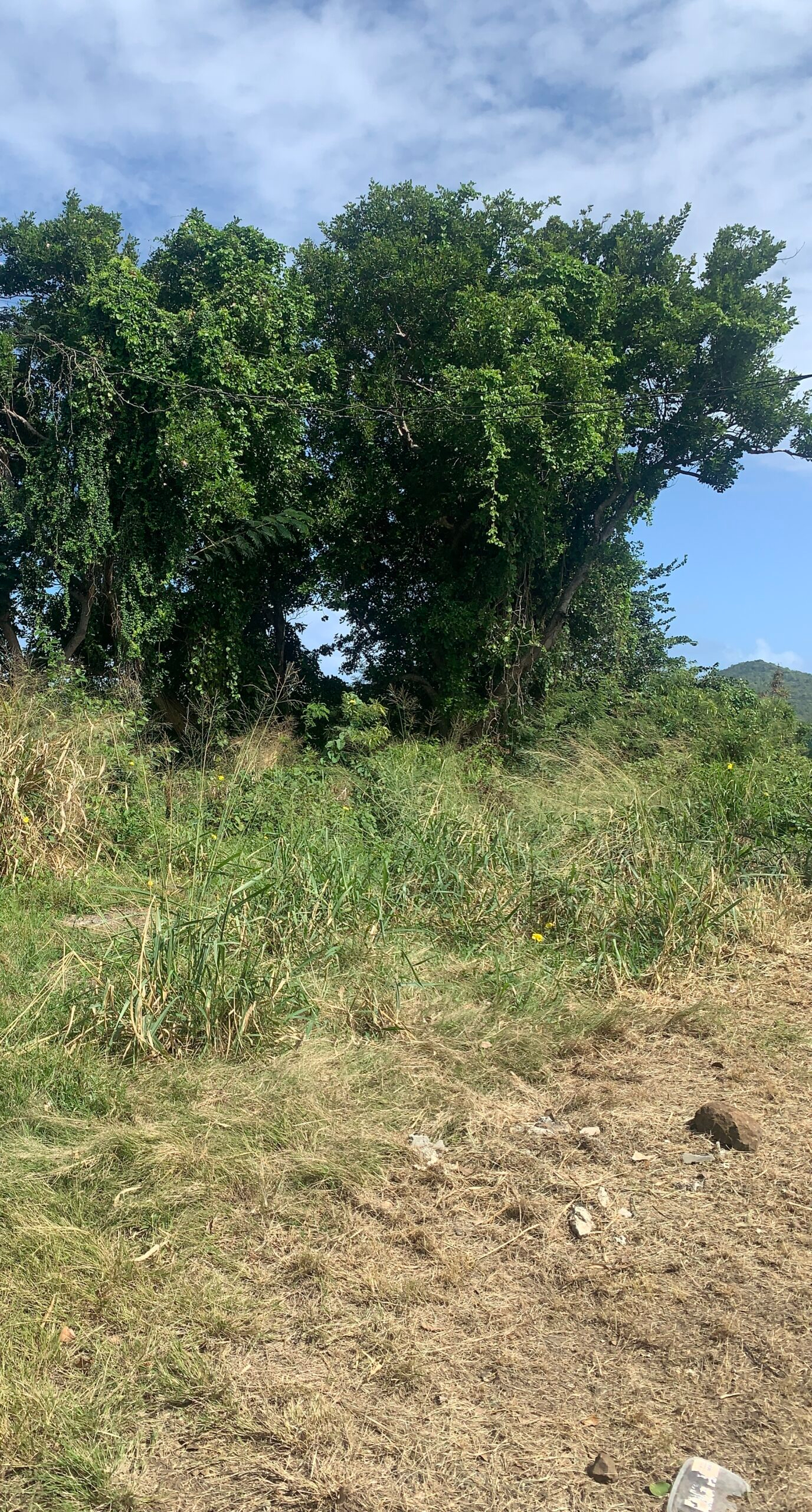 St lucia real estate Land For Sale In Bonneterre 14401 SF