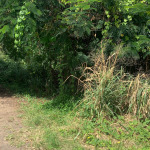 Land For Sale In Bonneterre 14401 SF st lucia real estate