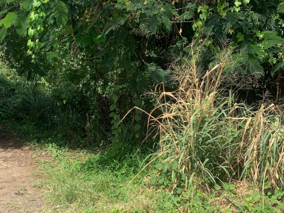 Land For Sale In Bonneterre 14401 SF st lucia real estate