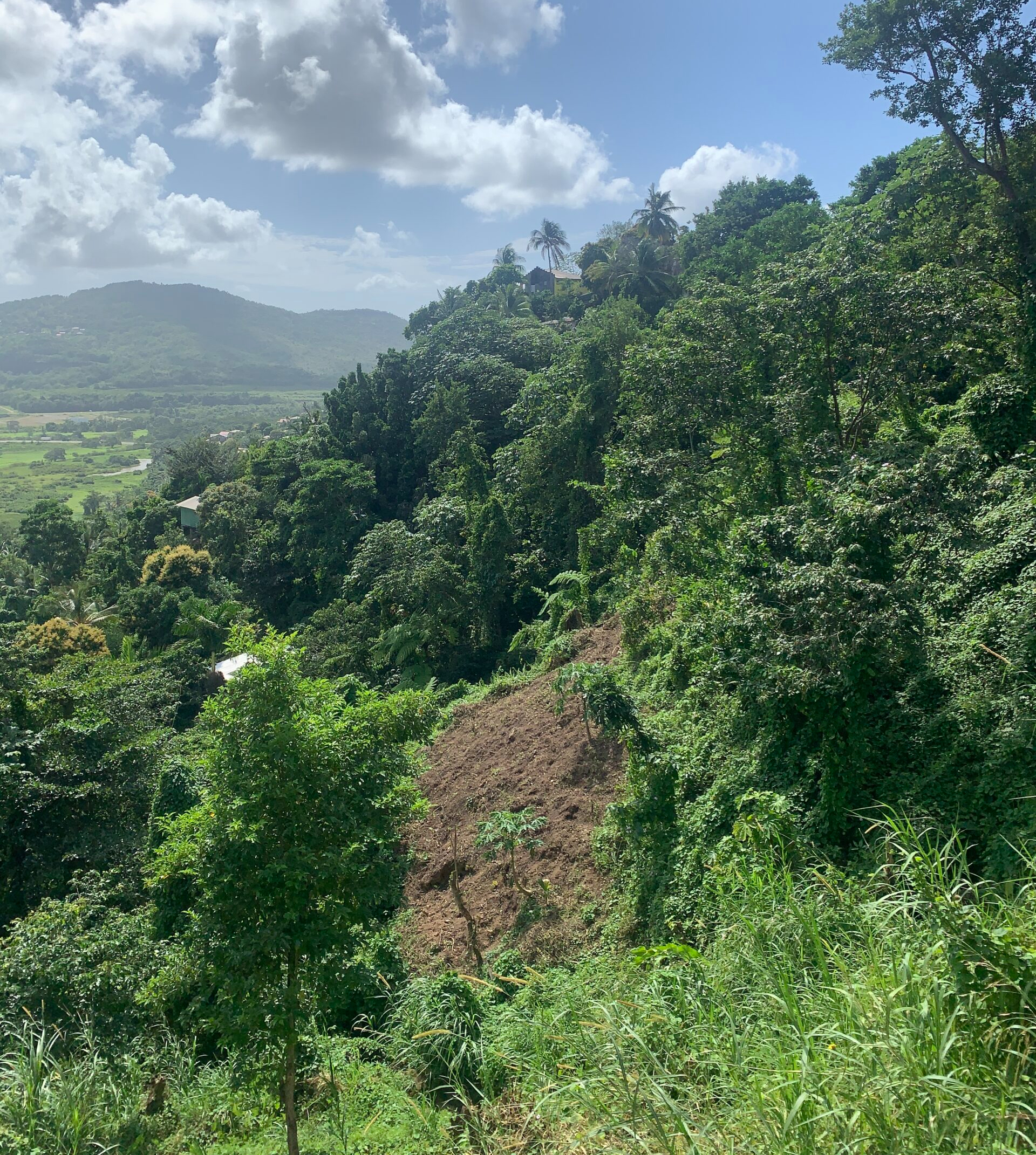Land For Sale In Ciceron 1.33 Acres Castries st lucia view