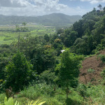 Land For Sale In Ciceron 1.33 Acres Castries st lucia