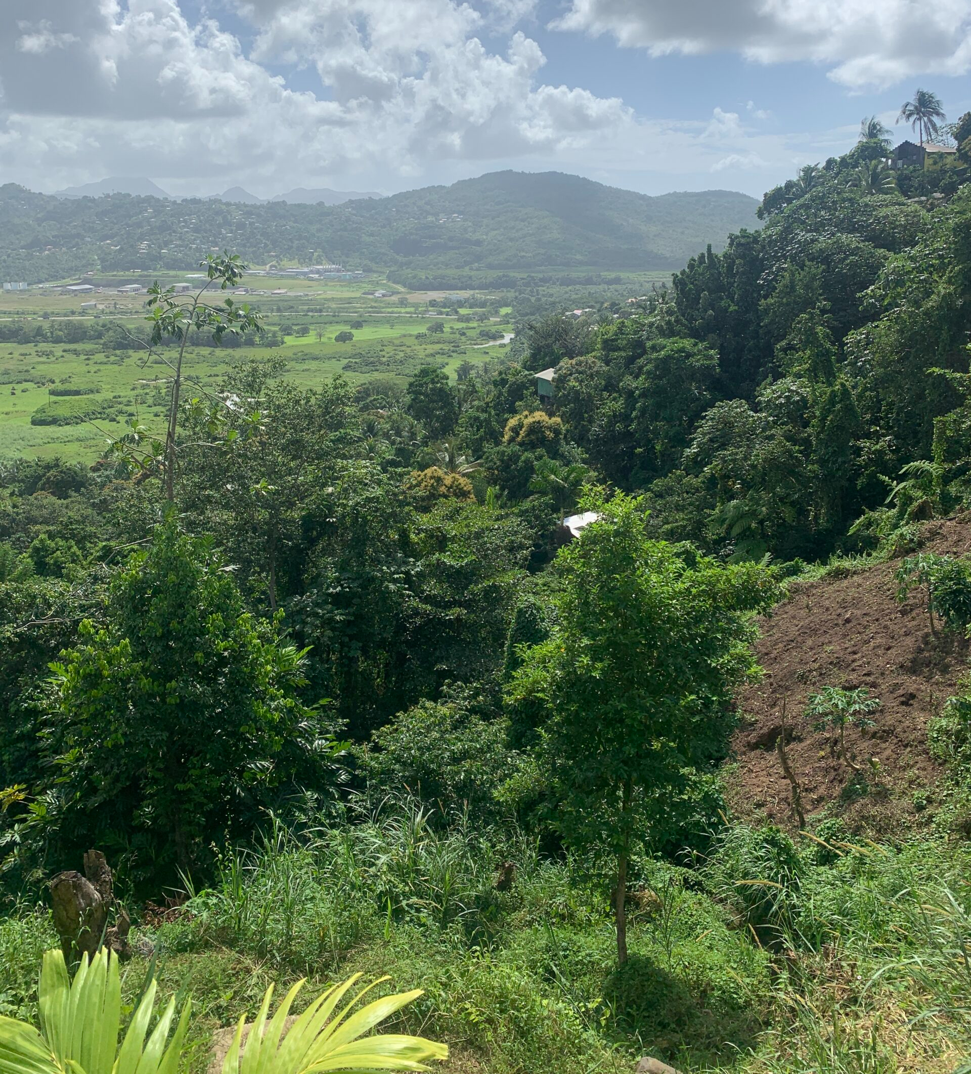 Land For Sale In Ciceron 1.33 Acres Castries st lucia