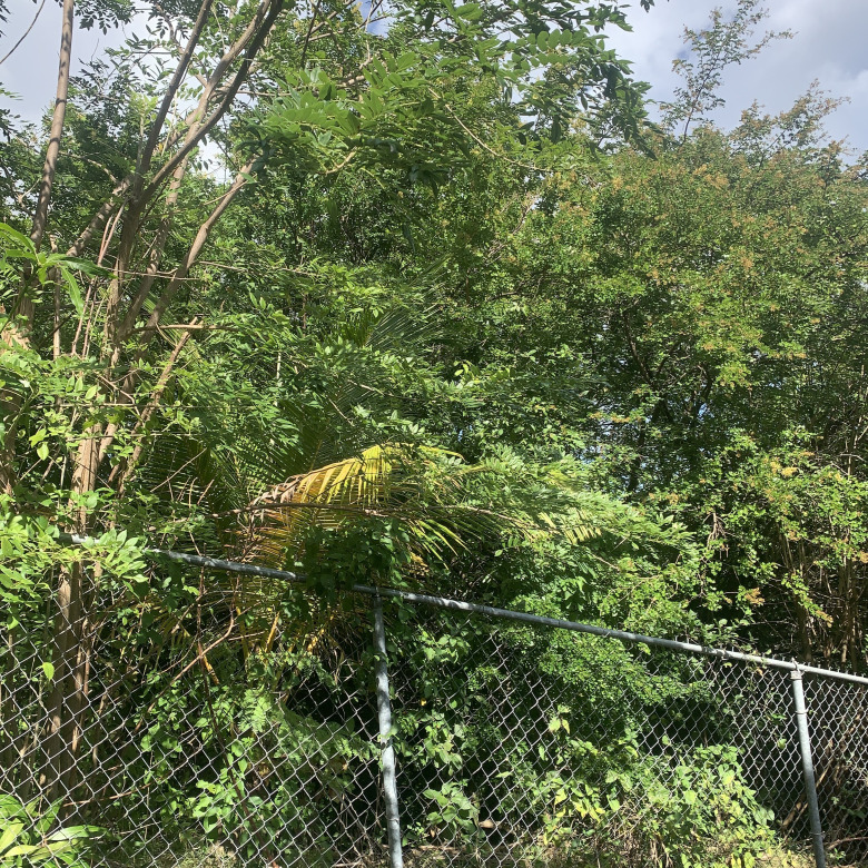 Land For Sale In La Retraite