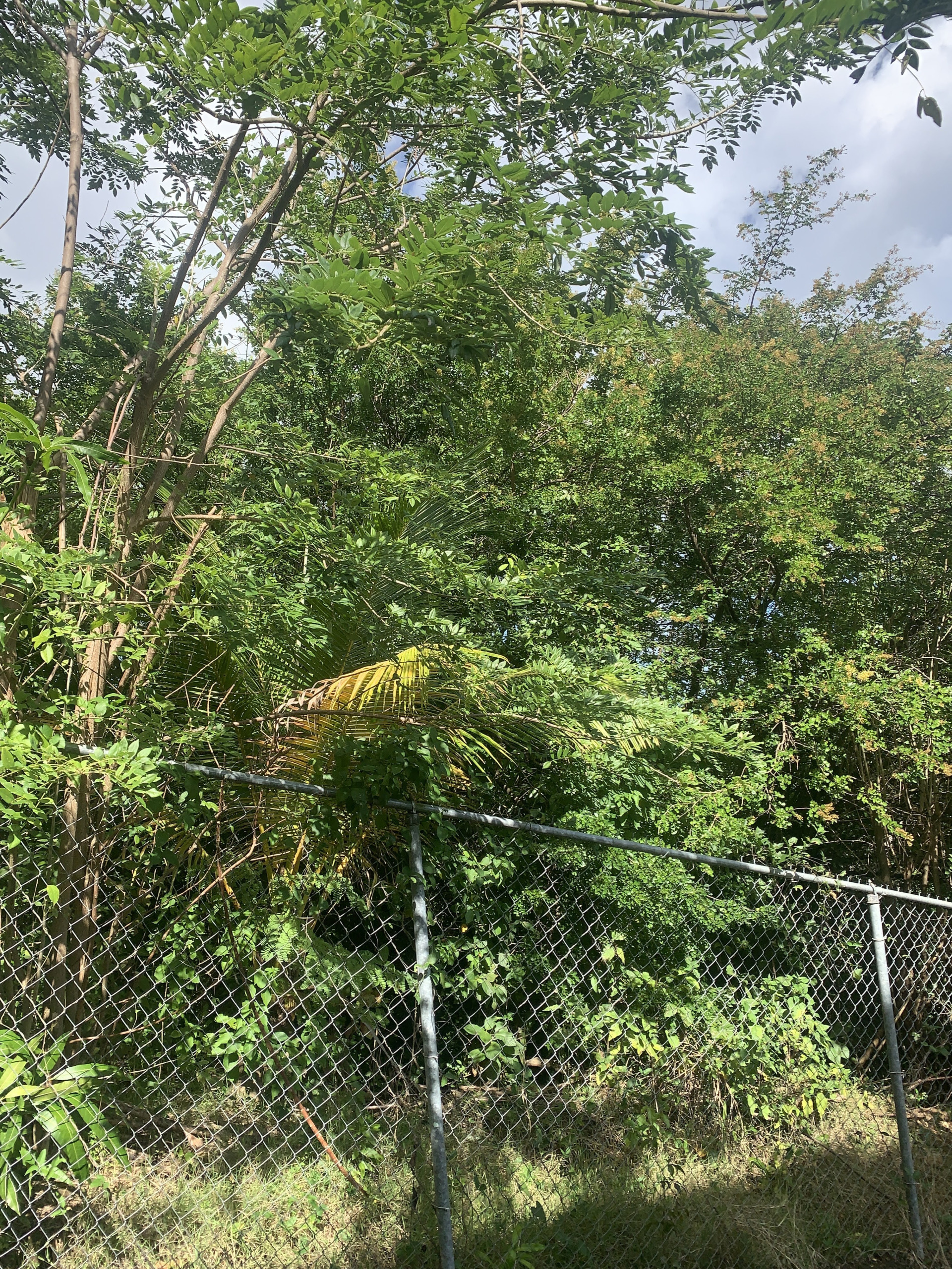 Land For Sale In La Retraite