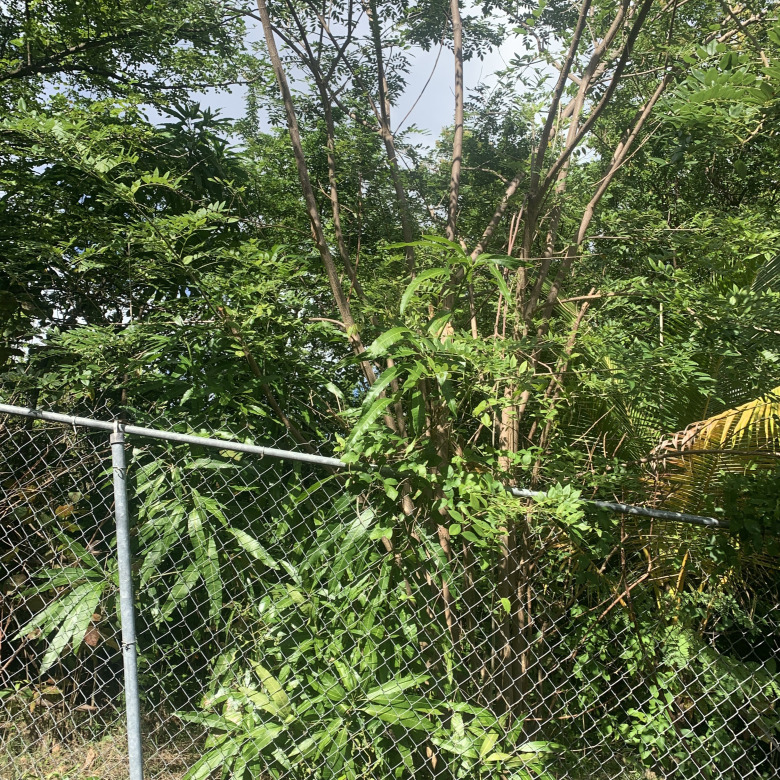 Land For Sale In La Retraite