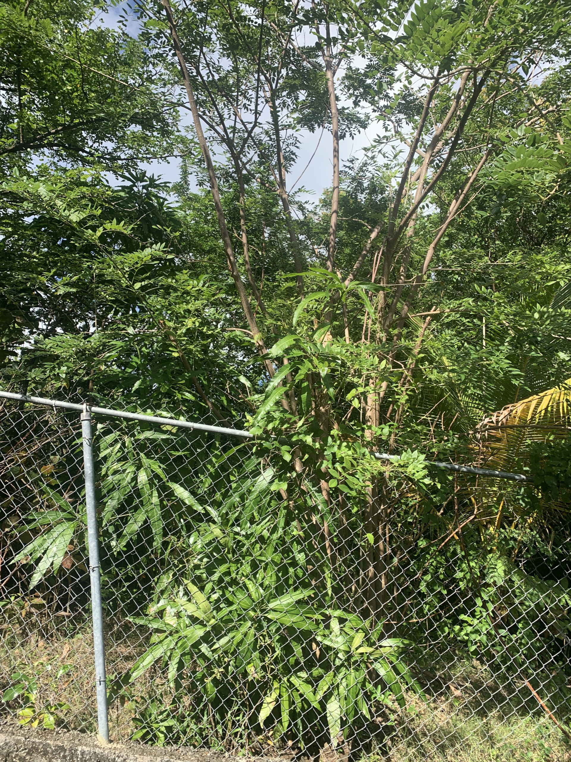 Land For Sale In La Retraite