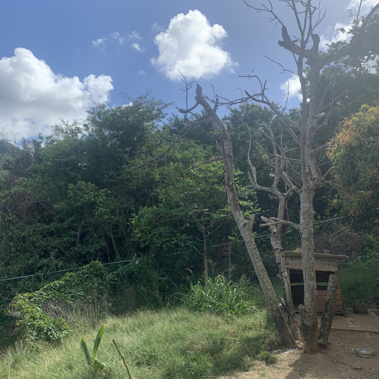 Land For Sale In La Retraite