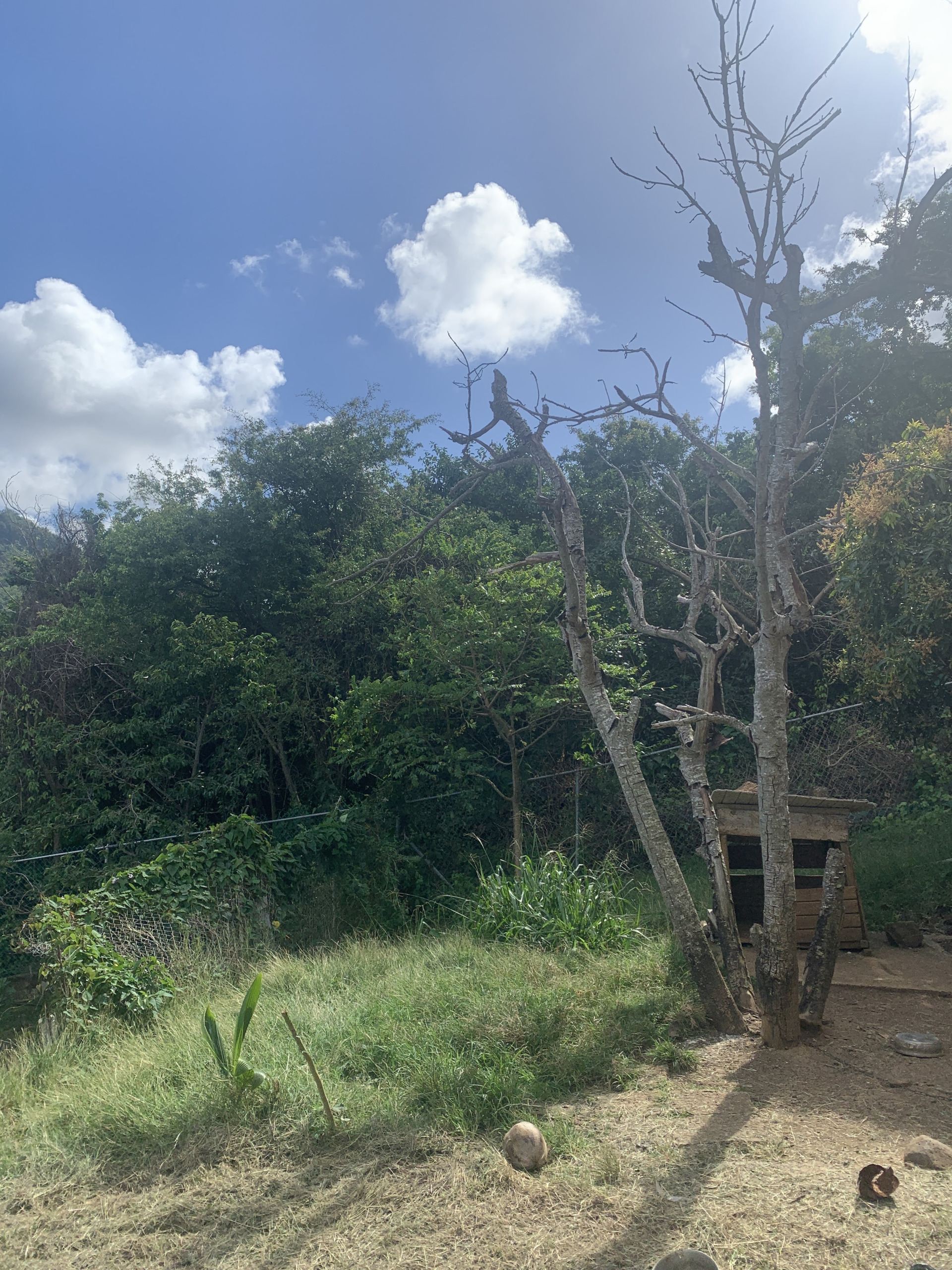 Land For Sale In La Retraite