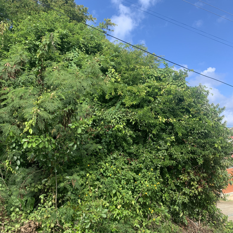 Land For Sale In La Retraite