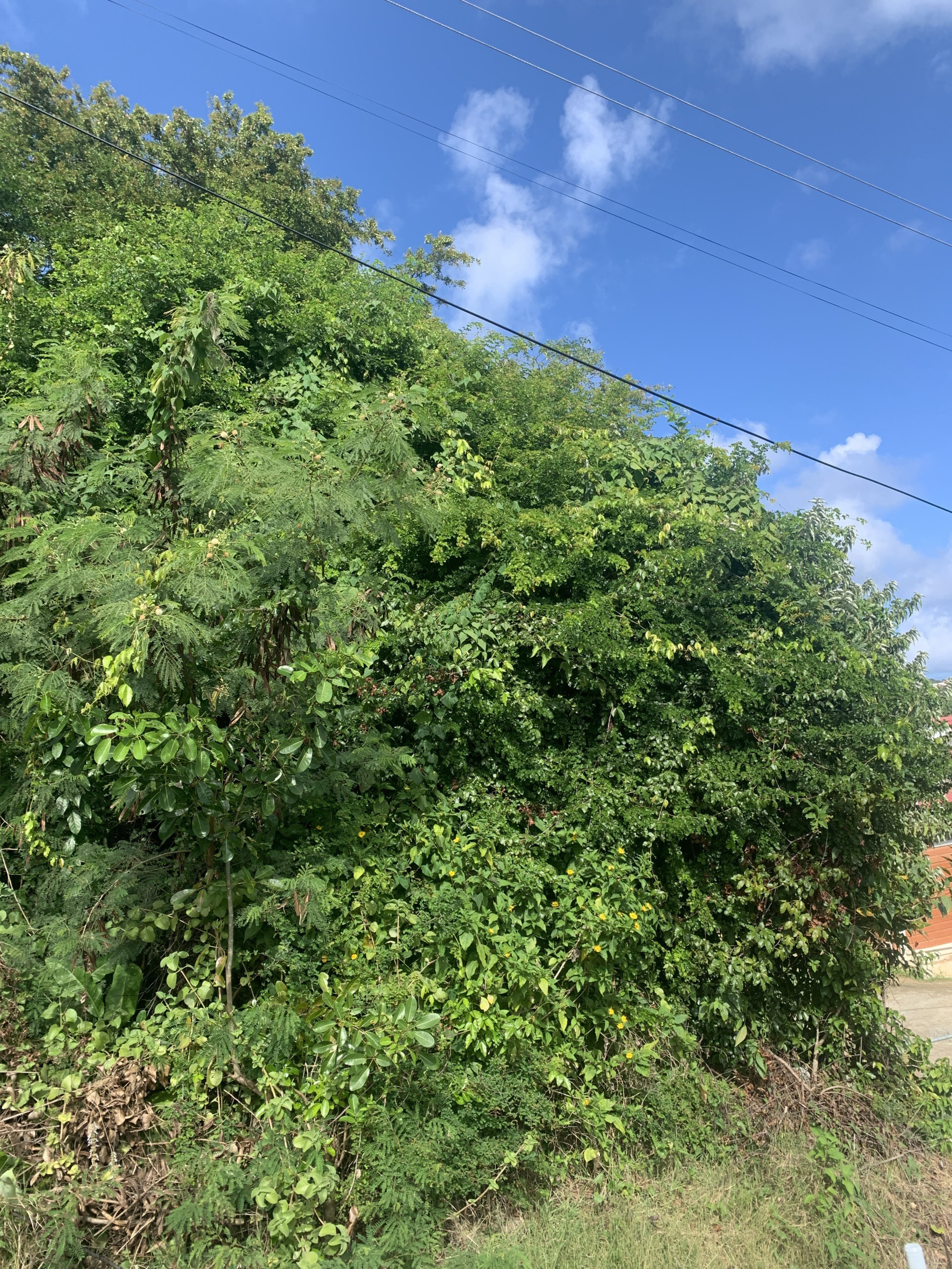 Land For Sale In La Retraite
