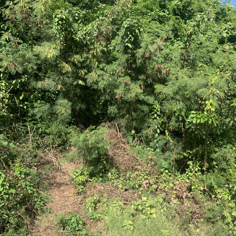 Land For Sale In La Retraite
