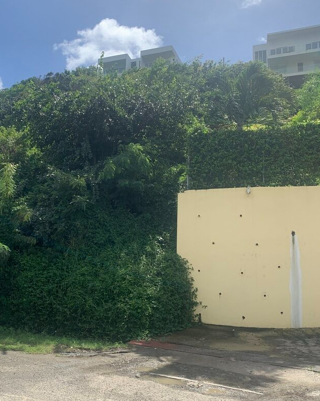 St Lucia ral estate Land For walll Sale In Cannelles