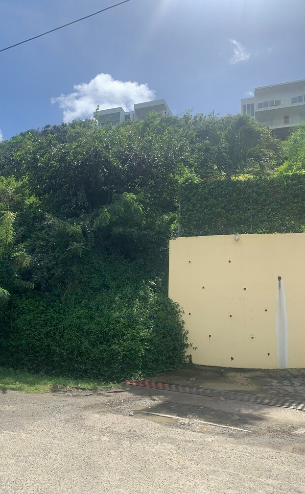 St Lucia ral estate Land For walll Sale In Cannelles