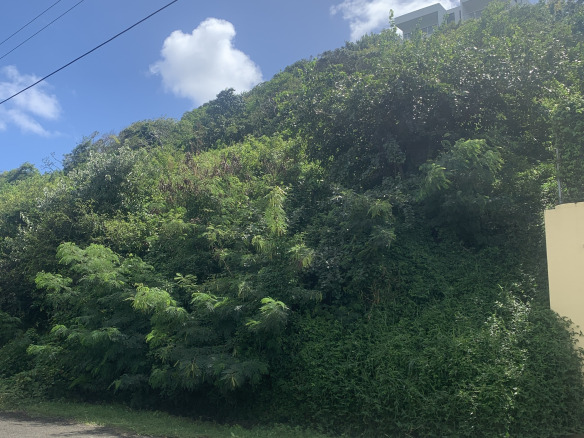 Land For Sale In South Hills Cap Estate st lucia