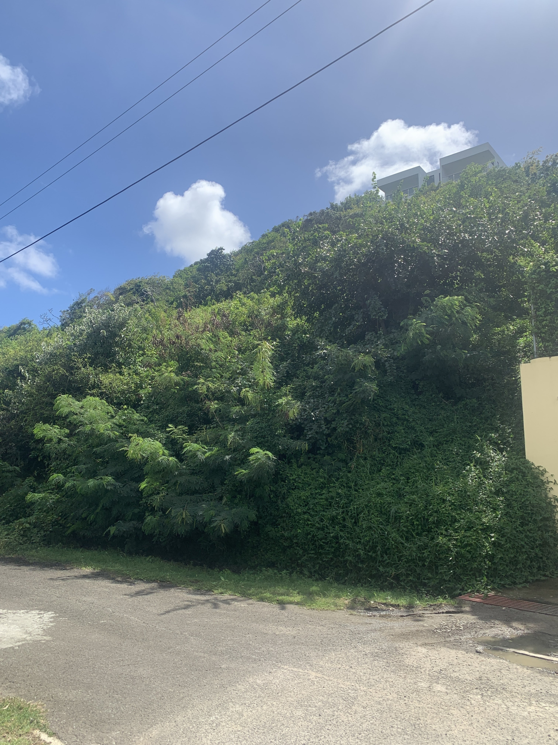 Land For Sale In South Hills Cap Estate st lucia