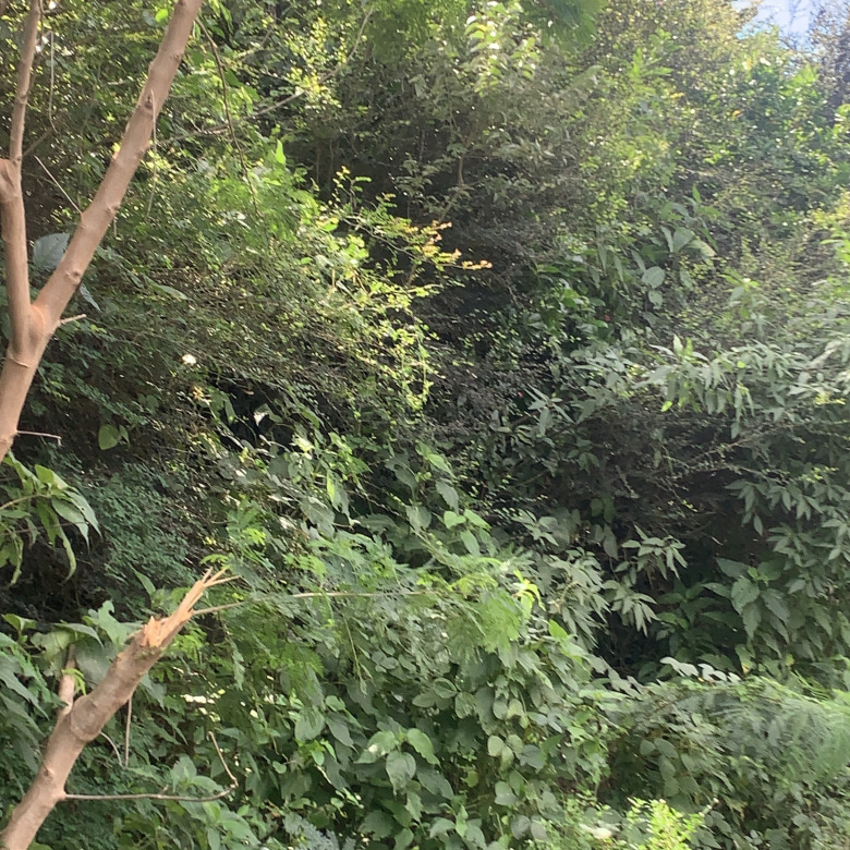 Land For Sale In South Hills Cap Estate