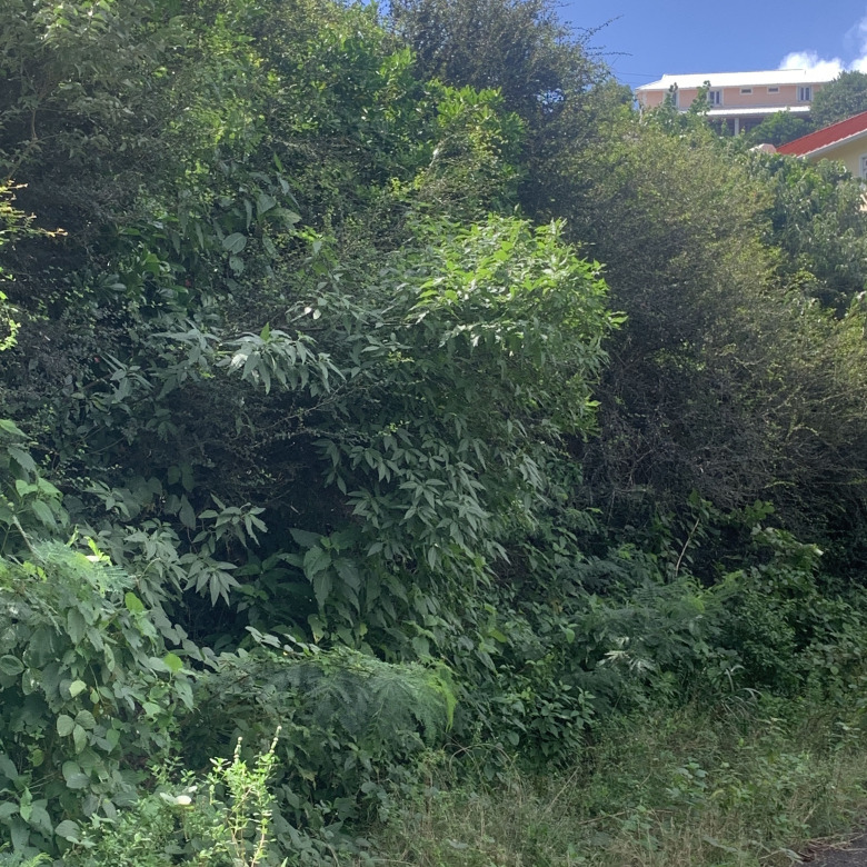 Land For Sale In South Hills Cap Estate