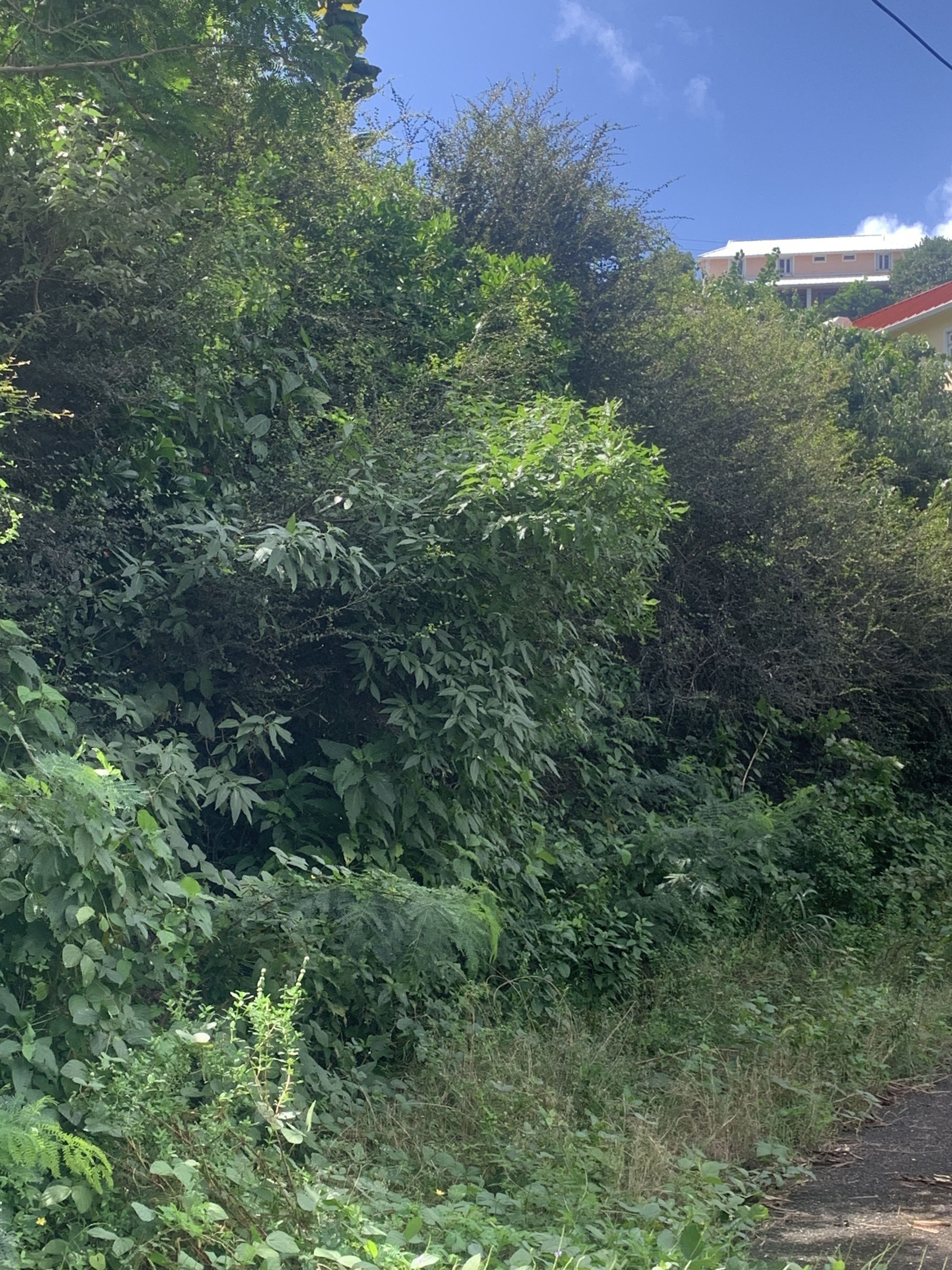 Land For Sale In South Hills Cap Estate