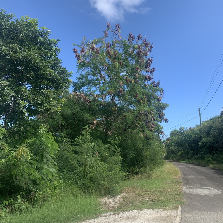 Land For Sale In South Hills Cap Estate
