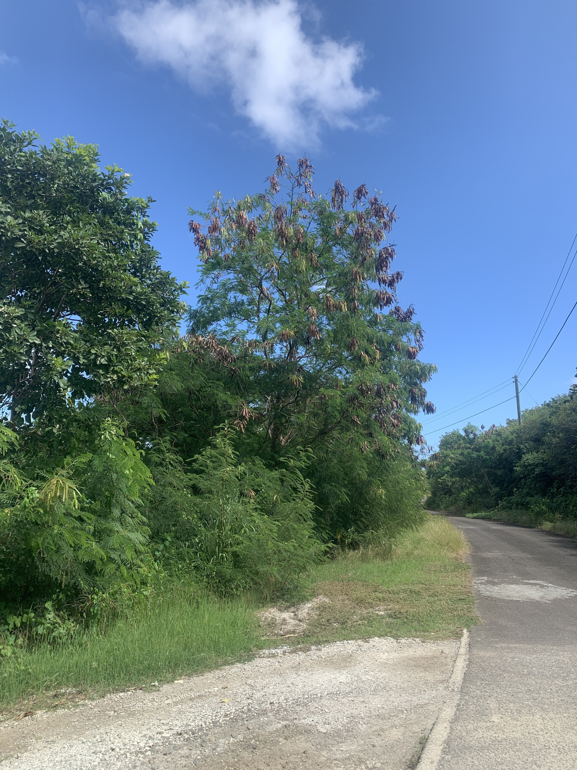 Land For Sale In South Hills Cap Estate