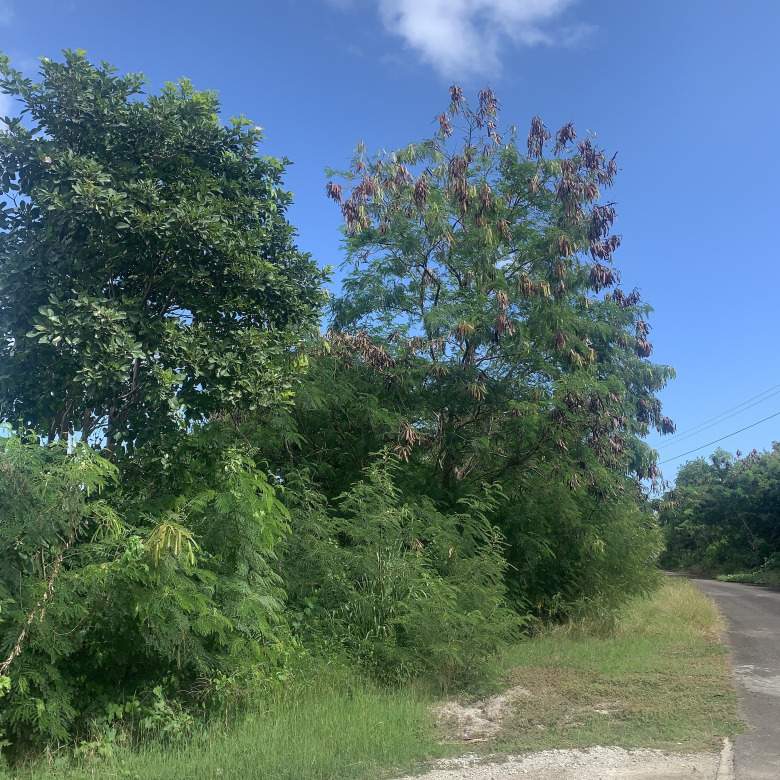 Land For Sale In South Hills Cap Estate