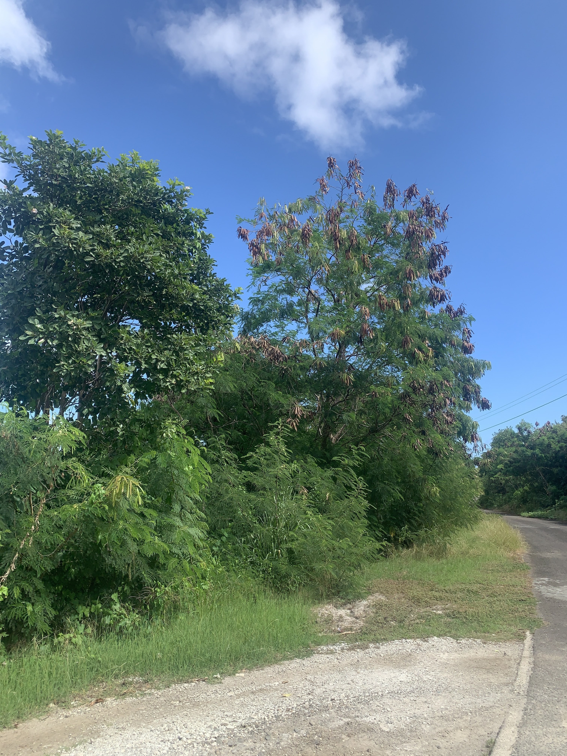 Land For Sale In South Hills Cap Estate