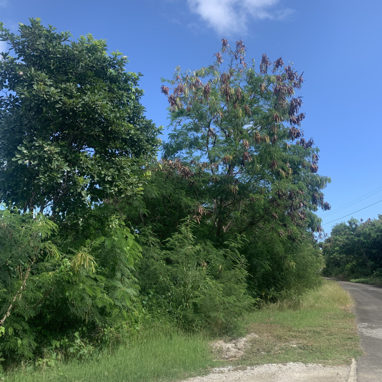 Land For Sale In South Hills Cap Estate