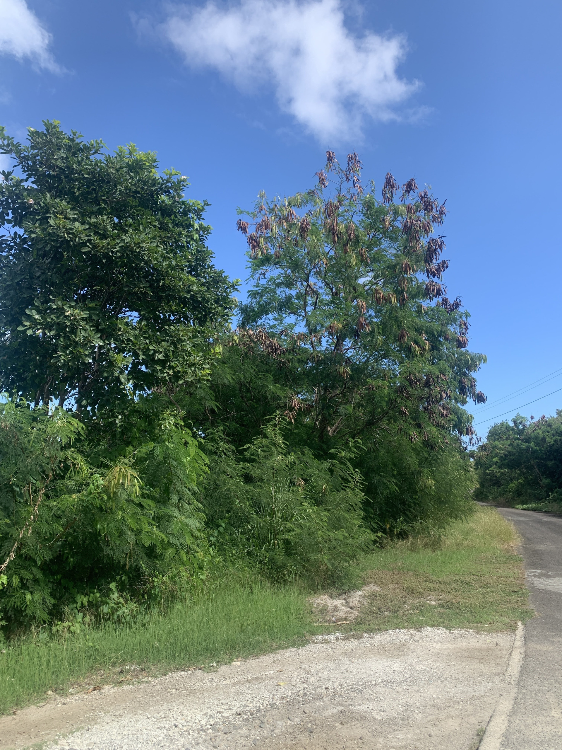 Land For Sale In South Hills Cap Estate
