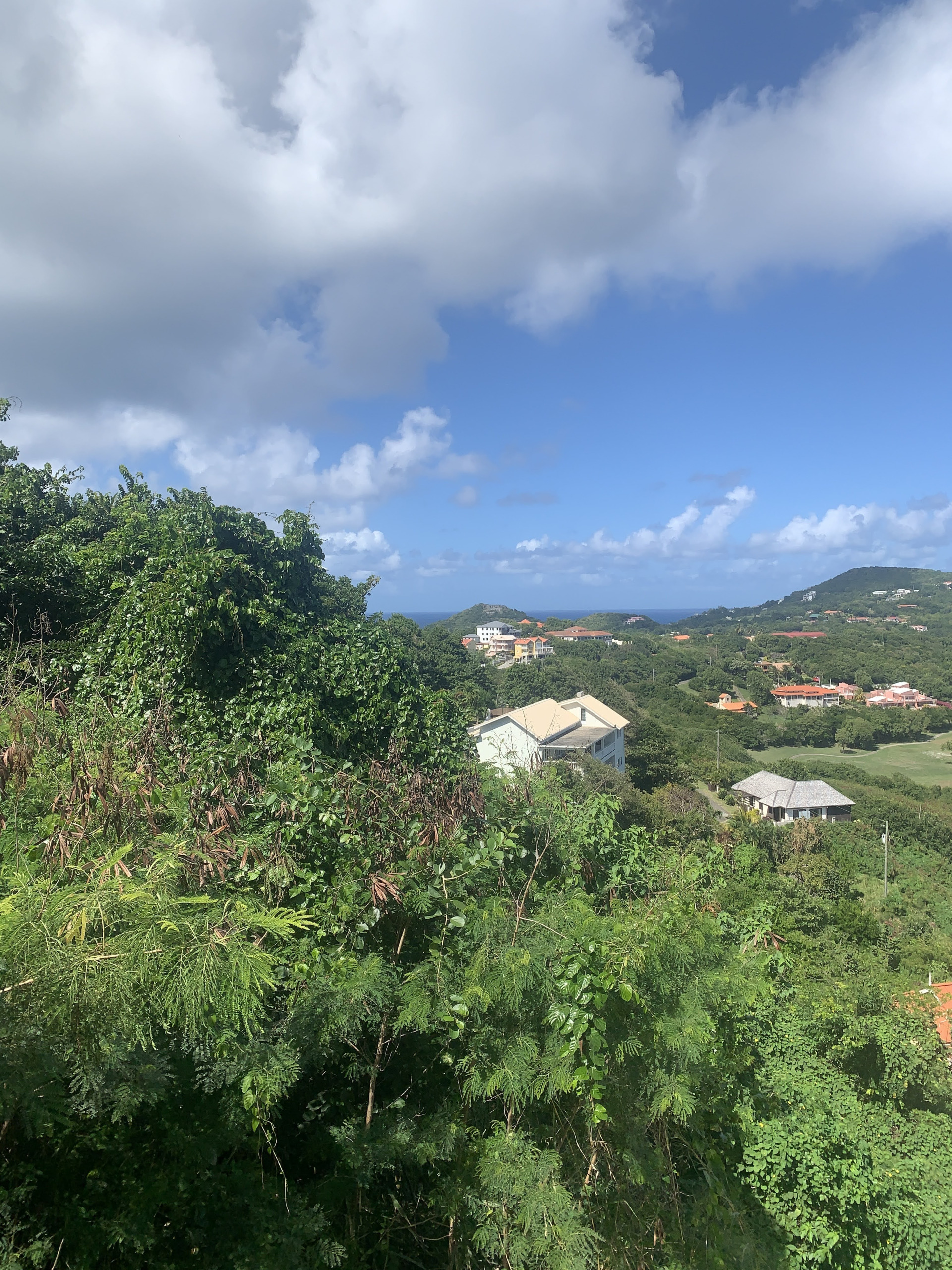 Land For Sale In South Hills Cap Estate