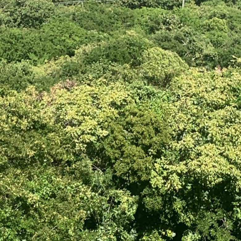 Land For Sale In South Hills Cap Estate