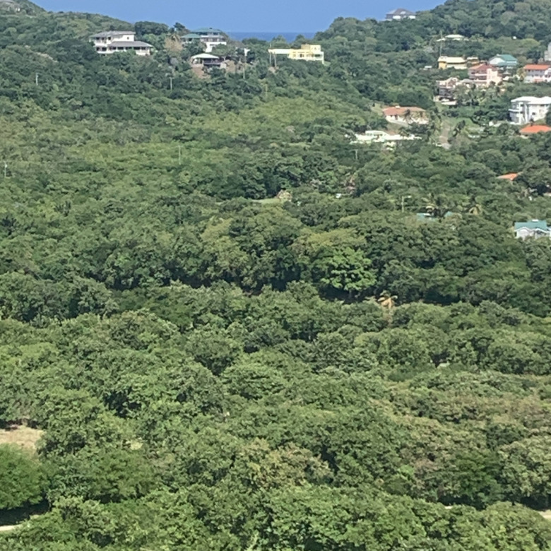 Land For Sale In South Hills Cap Estate