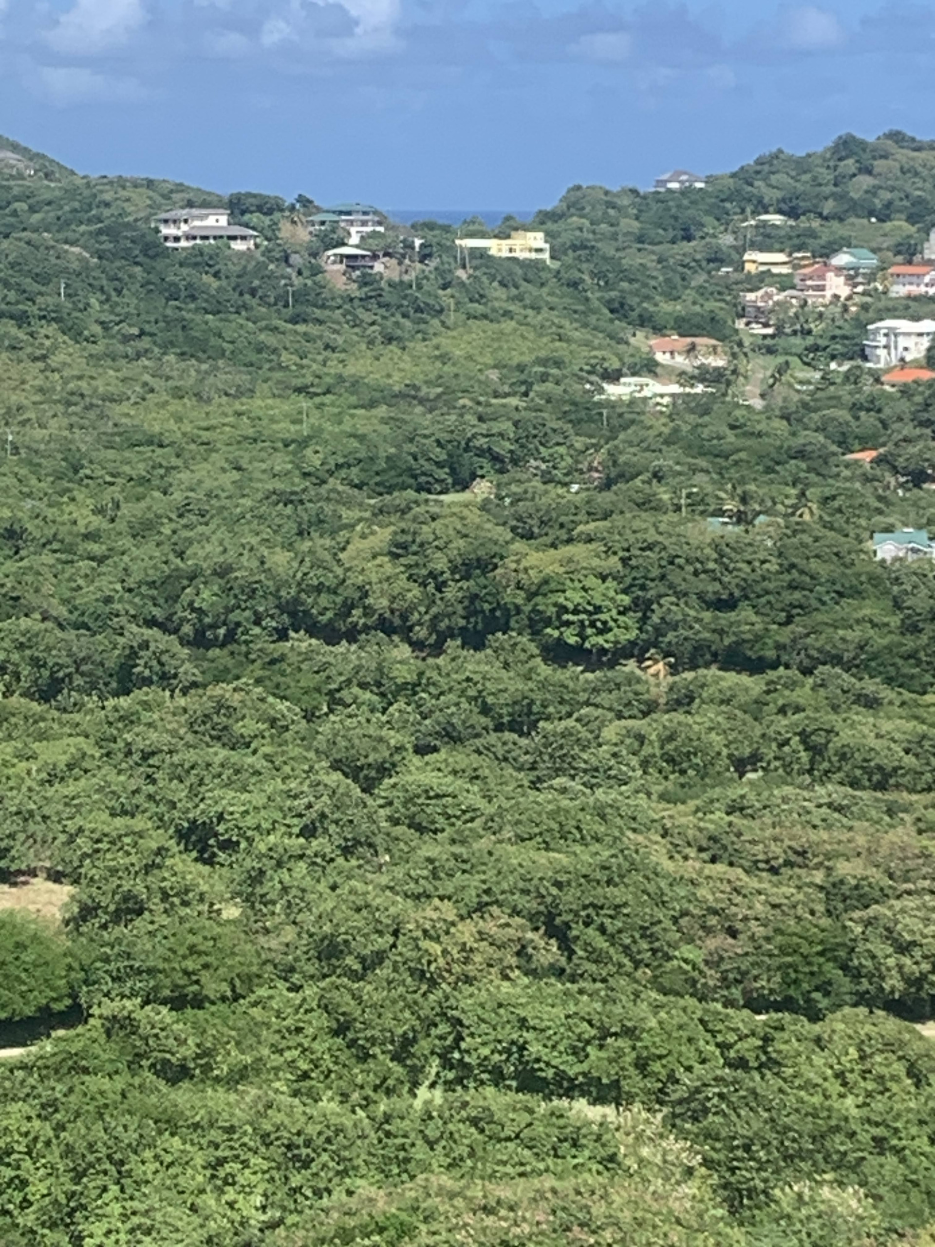 Land For Sale In South Hills Cap Estate