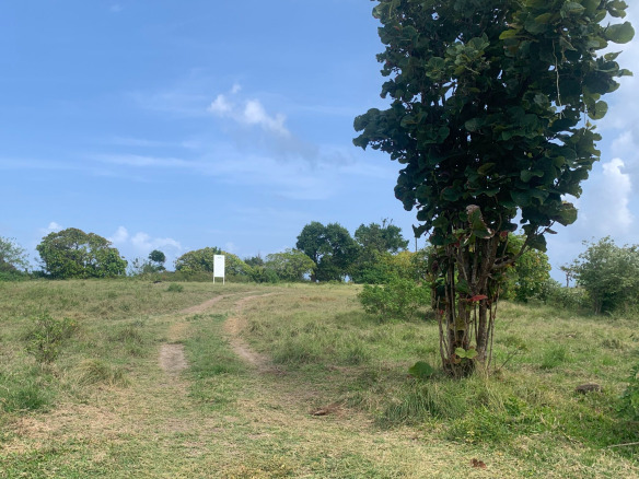 Land For Sale In Cannelles Vieux Fort St Lucia