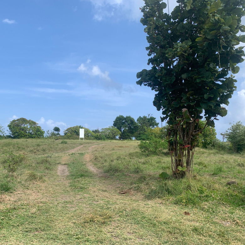Land For Sale In Cannelles