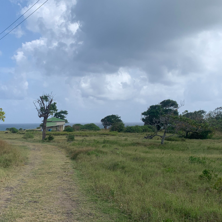 St Lucia ral estate Land For Sale In Cannelles view