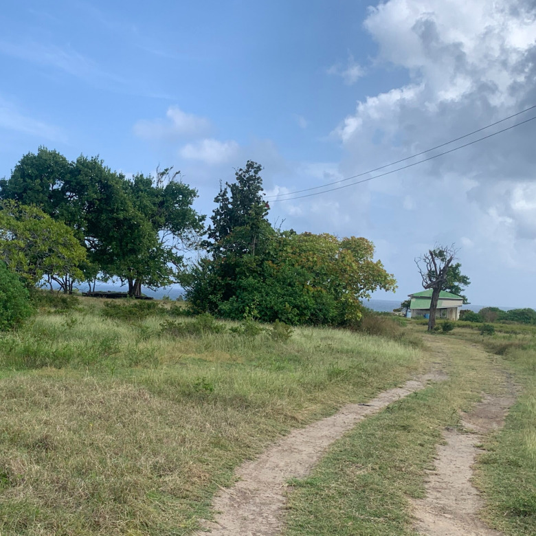 St Lucia ral estate Land For Sale In Cannelles