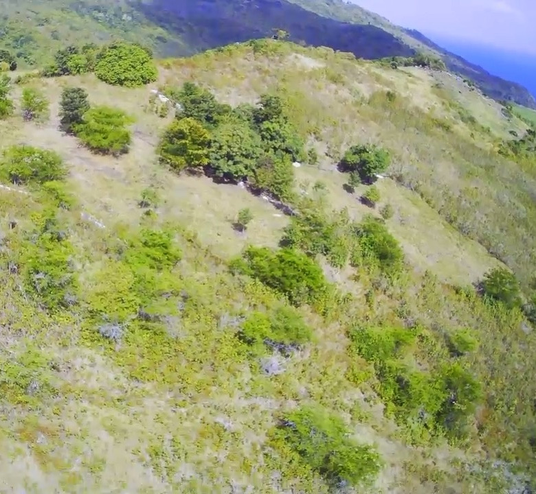 Land for Sale In La Borne