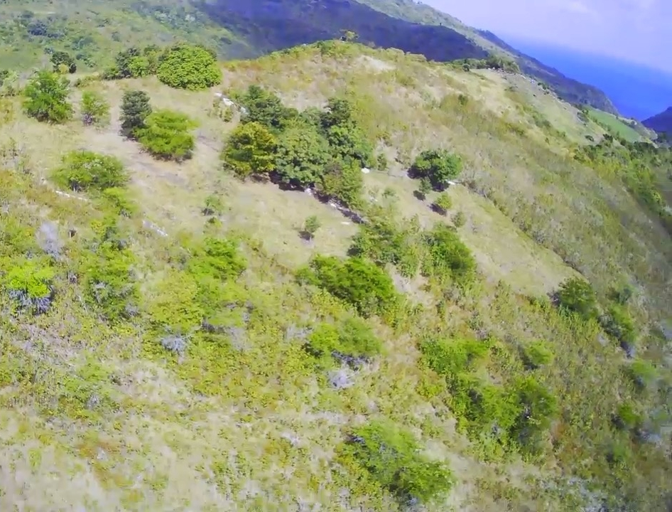 Land for Sale In La Borne